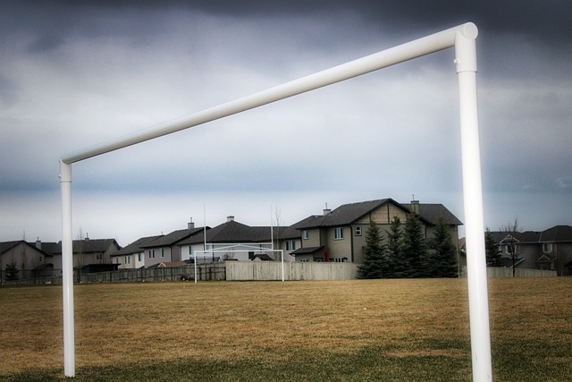 在賽場上 在賽場上