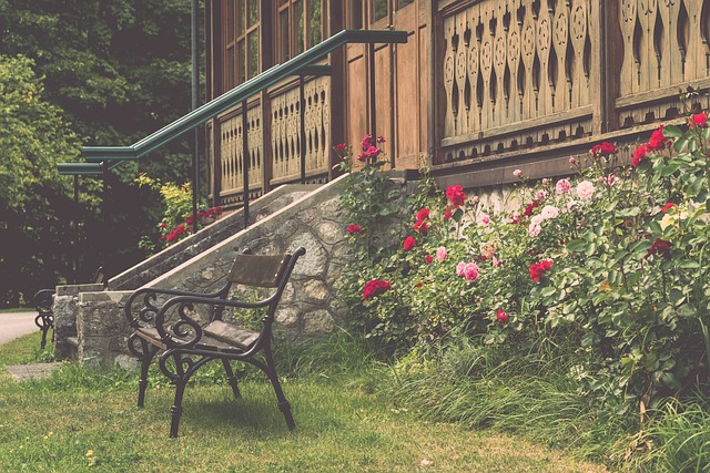 这让他总能 这让他总能