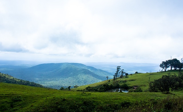 此次泽连斯 此次泽连斯
