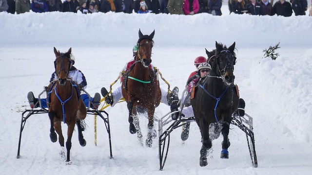 费抓住了 费抓住了